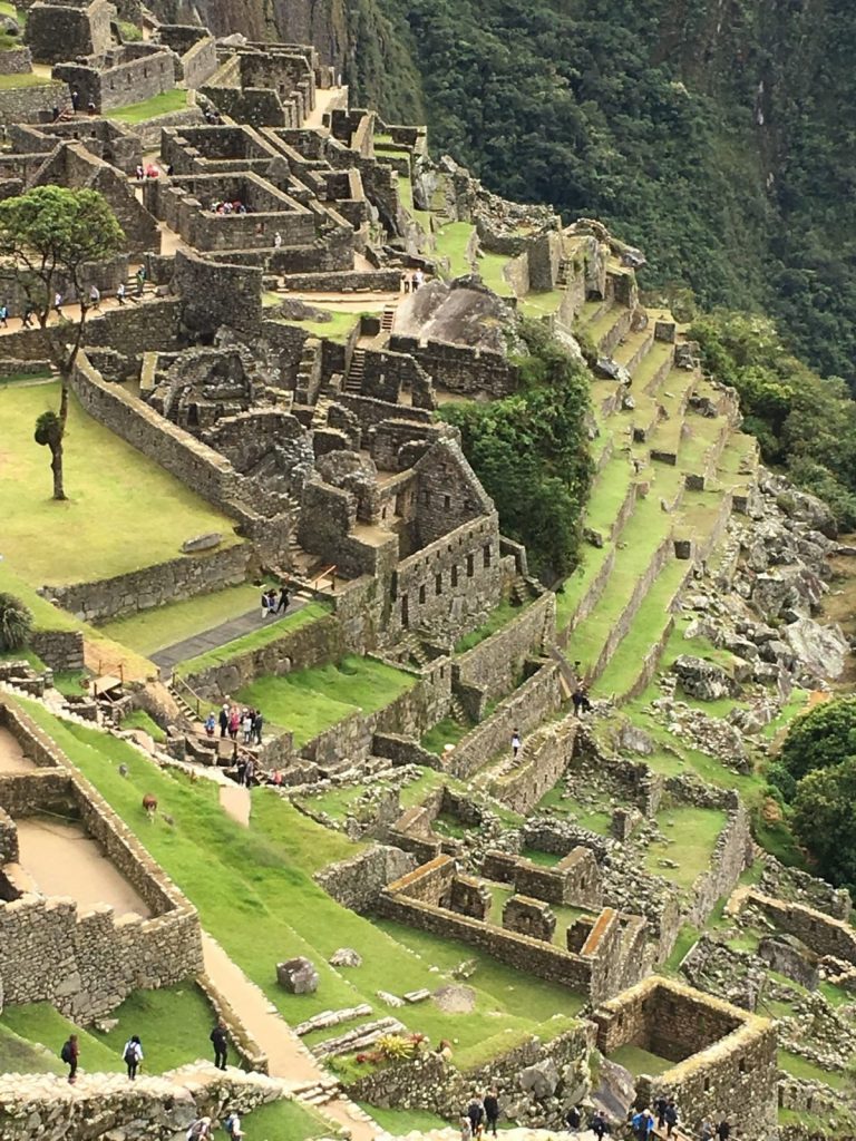 Success! Visiting the Llamas of Machu Picchu, and Enjoying the Sights ...