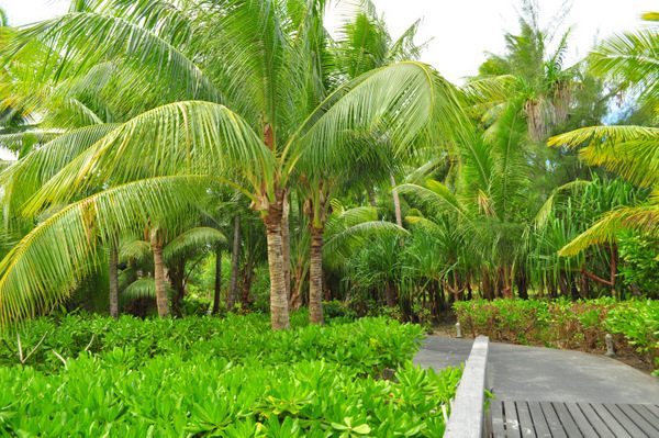 Intercontinental Thalasso Resort Intercontinental Thalasso Resort