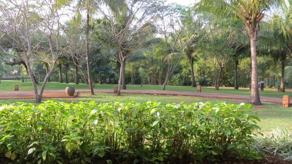 Park Hyatt Goa Regular Room
