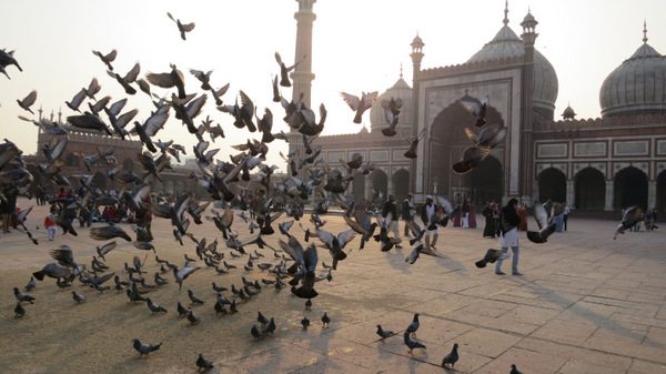 A Day in Delhi