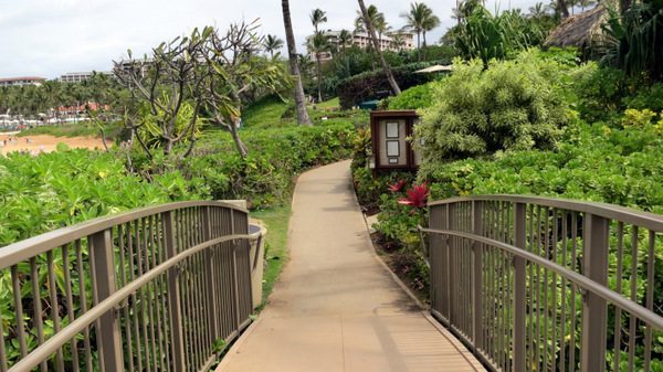 Grand Wailea Activities