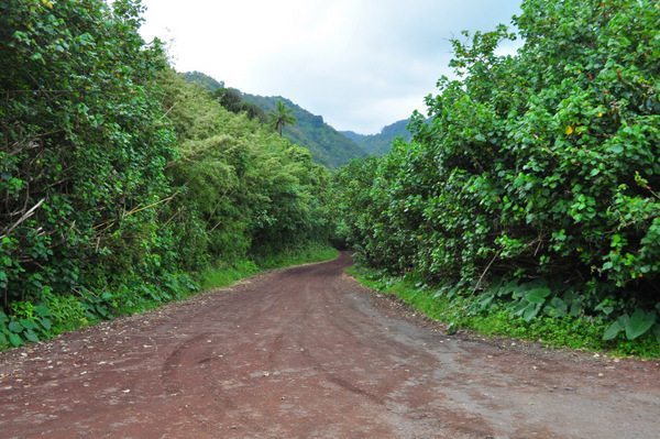 The Road to Hana