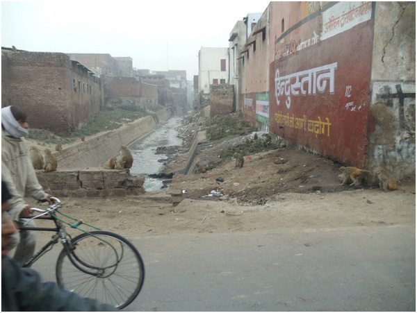 A Day in Agra A Day in Agra