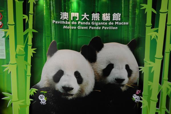 Panda Macau