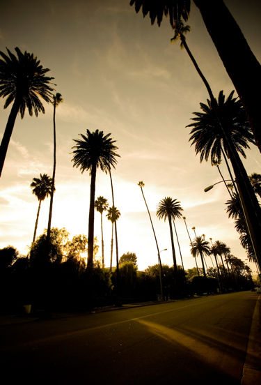 Won't Last 149 East Coast Cities To Los Angeles Phoenix Round-Trip And Vice Versa
