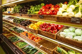 Earn Bonus Cash Back for Regular Household Spending – With NO Annual Fee