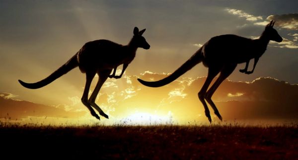 10 Tips For Using Miles And Points To Travel To Australia
