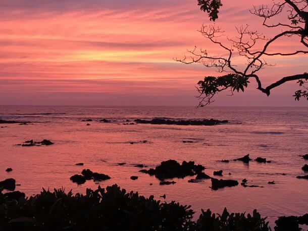 13 Free Nights In Hawaii Reader Success Story