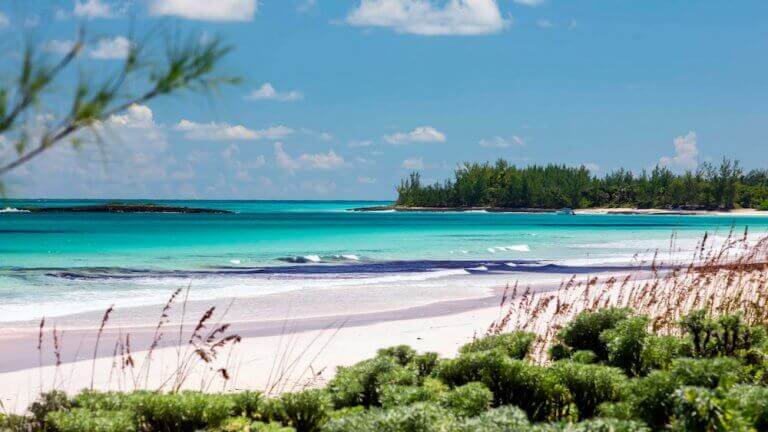 Best Marriott Beach Resort Best Marriott Beach Resort