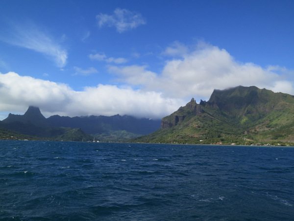 Michael Poole Moorea Michael Poole Moorea