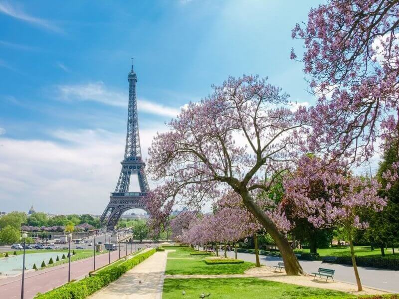 New Offer 50000 American Airlines Miles 200 In Credits