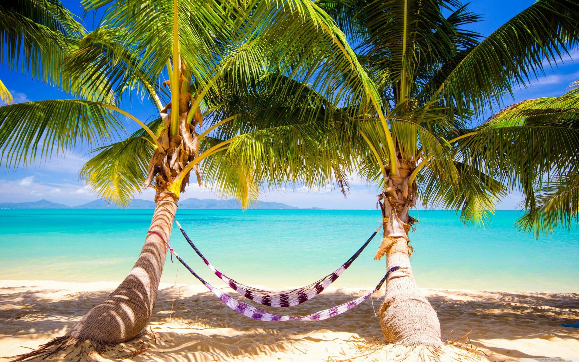 Look How Easy it is to Earn Hilton Points and Redeem For Tremendous Value at 12 Hilton All Inclusive Resorts
