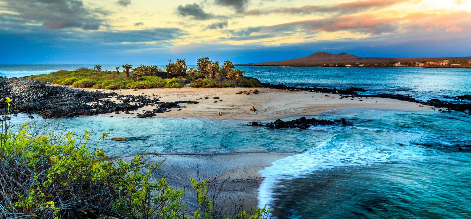Photo by Rene Holtslag/Shutterstock