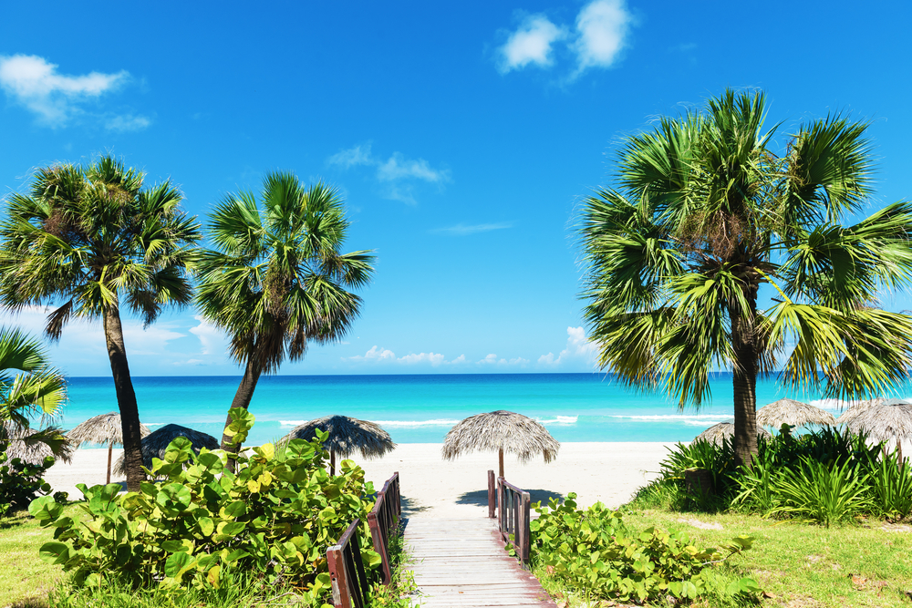 Limited Time Increased Citi American Airlines Card Offers Earn 60 000